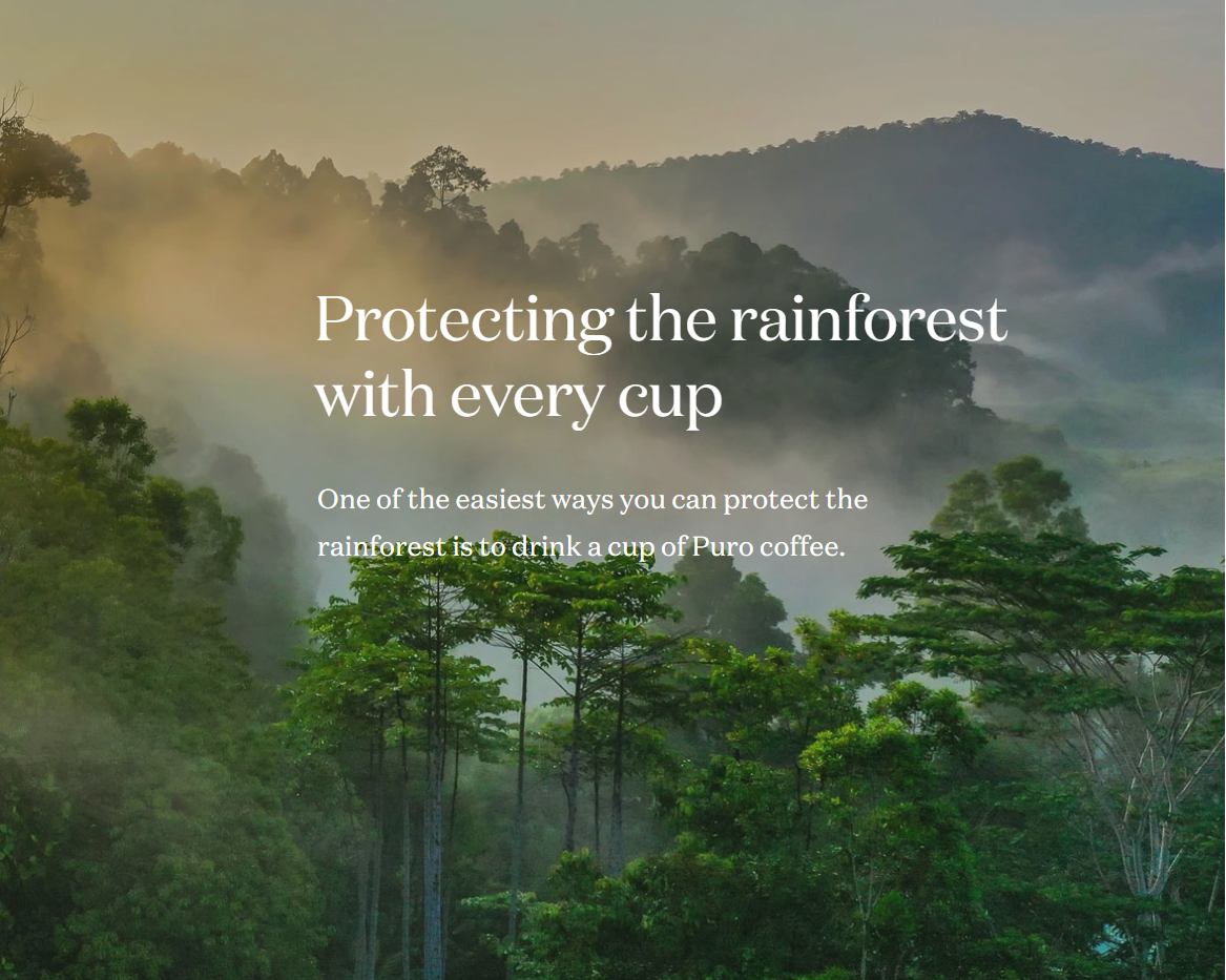 Saving the Lungs of the Earth